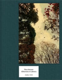Des Oiseaux