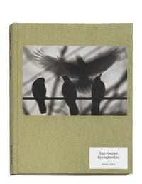 Des Oiseaux - Kyunghee Lee