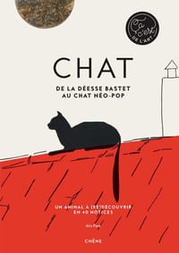 Chat