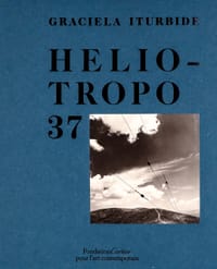Heliotropo 37