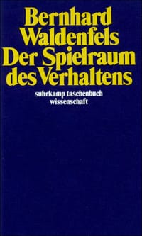 Der Spielraum des Vertaltens