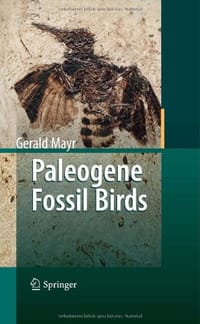 Paleogene Fossil Birds - Mayr, Gerald