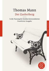 书籍 Der Zauberberg的封面