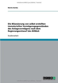 Die Bilanzierung Von Selbst Erstellten Immateriellen Verm Gensgegenst Nden Des Anlageverm Gens Nach Dem Regierungsentwurf Des Bilmog