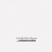 Cerith Wyn Evans - Evans, Cerith Wyn (CON)/ Birnbaum, Daniel/ Zaya, Octavio