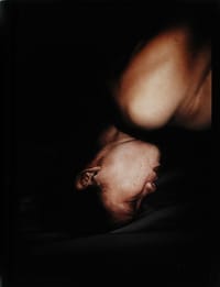 Antibodies - Antoine D'Agata