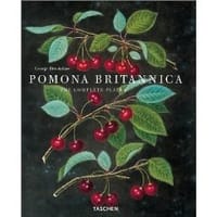 POMONA BRITANNICA