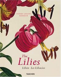 Les Liliacées - The Lilies - Lilien