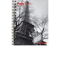 2011 Paris Deluxe Diary