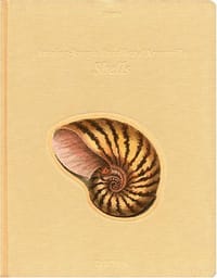 2010 Shells