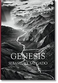 书籍 Genesis的封面