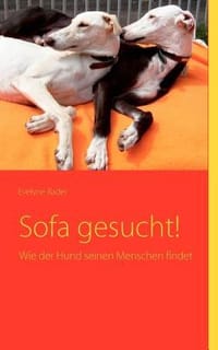 Sofa Gesucht!