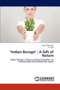 \Indian Borage\"