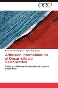 Adhesi N Intercelular En El Desarrollo de Vertebrados