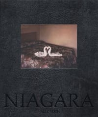 Niagara - Alec Soth