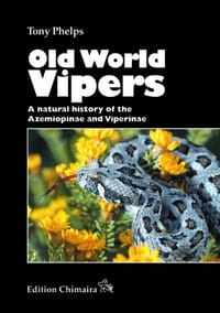 Old World Vipers