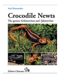 Crocodile Newts
