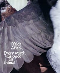 Yalda Afsah