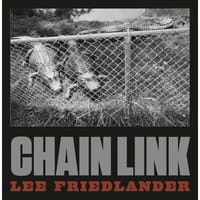 Chain Link - Lee Friedlander