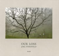 Our loss