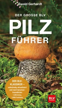 Der grosse BLV Pilzführer