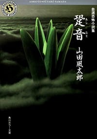 书籍 自選恐怖小説集 跫音的封面