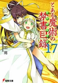 书籍 とある魔術の禁書目録 17 (17) (電撃文庫 か 12-19)的封面