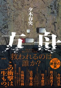 书籍 方舟的封面