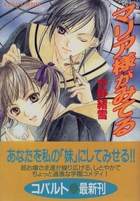 书籍 マリア様がみてる的封面