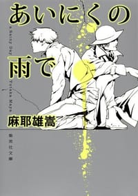 书籍 あいにくの雨で的封面