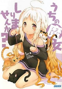うちの魔女しりませんか?