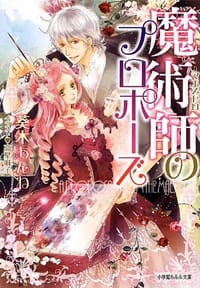 书籍 魔術師的封面