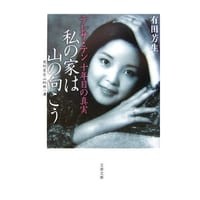 私の家は山の向こう