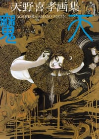 书籍 魔天 Maten的封面