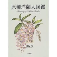 书籍 原種洋蘭大図鑑的封面