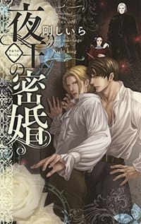 夜王の密婚 - 剛 しいら