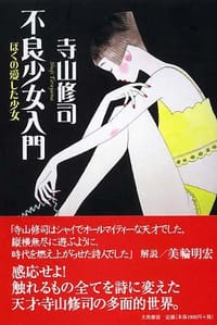 书籍 不良少女入門的封面