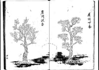 蘇合香丸