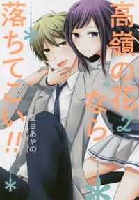 书籍 高嶺の花なら落ちてこい!!(2)的封面