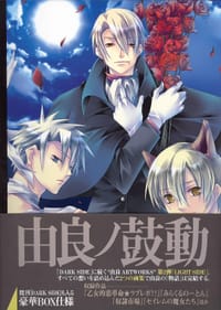 由良ARTWORKS-LIGHT.SIDE-