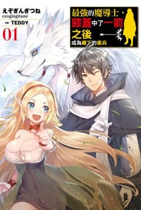最強の魔導士。ひざに矢をうけてしまったので田舎の衛兵になる 1 - えぞぎんぎつね, TEDDY