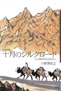 古希記念 十月のシルクロード―天山南路西域北道を往く