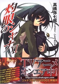 书籍 灼眼のシャナ (11) (電撃文庫 (1166))的封面