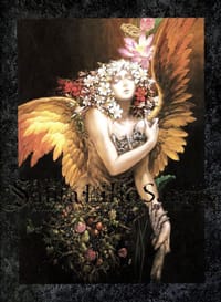 Santa Lilio Sangre緋いユリ―小島文美画集 - 小島文美, 小岛文美