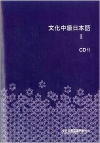 书籍 文化中级日本语2的封面