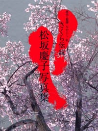 樱花传奇―松坂庆子写真集 (大型本) - 松坂慶子, 毛利 充裕, 松坂庆子