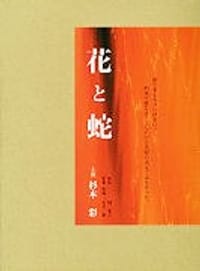 映画「花と蛇」 生写真集