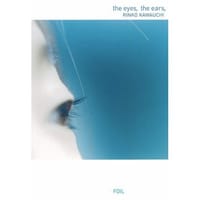 the eyes,the ears,