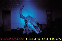 CANARY - 志賀 理江子