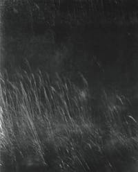 鳥雲 - 藤田 はるか